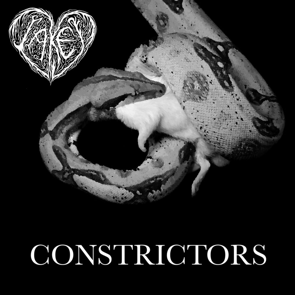 Picture of Constrictors