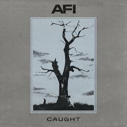 Cover of Caught