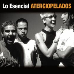 Cover of Lo Esencial