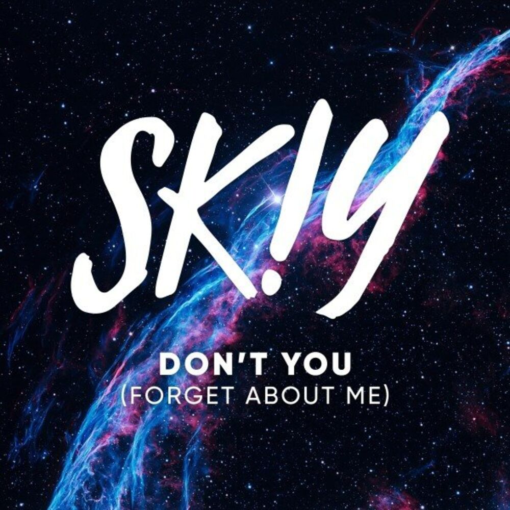 Picture of Don't You (Forget About Me)
