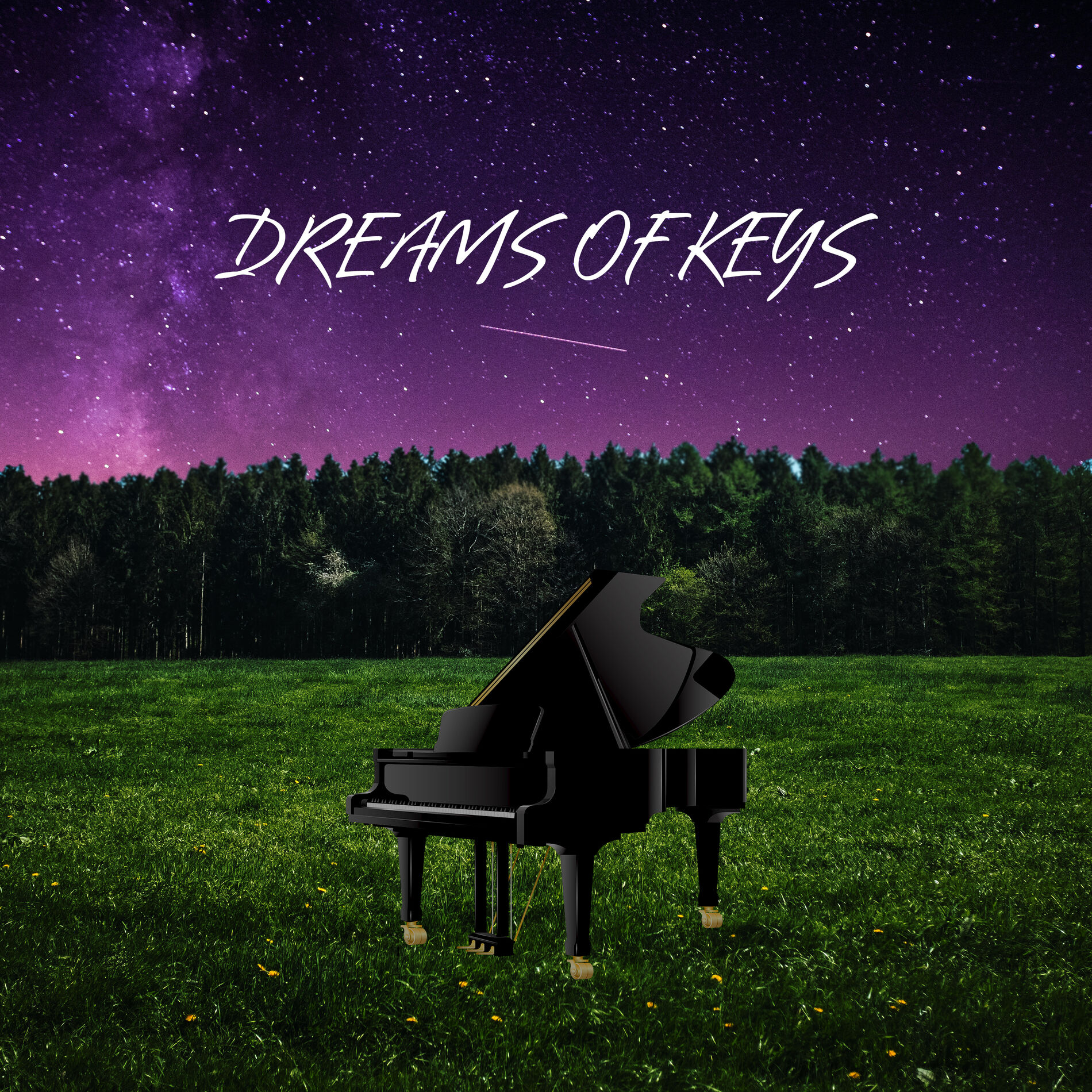 Album cover of dreams of keys