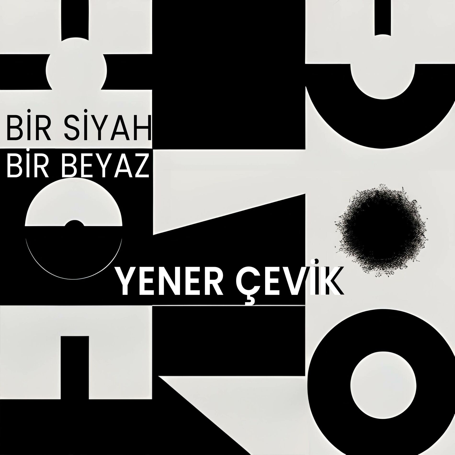 Album cover of Bi Siyah Bi Beyaz
