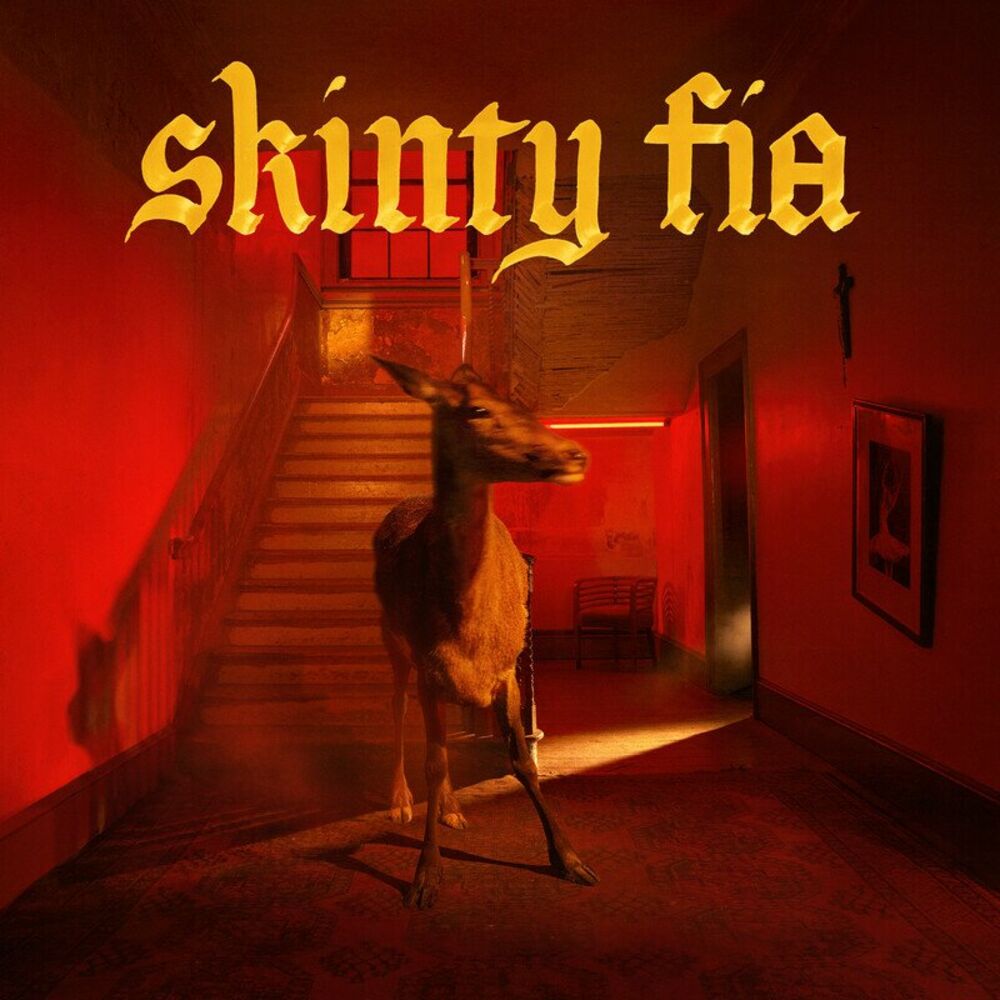 Picture of Skinty Fia