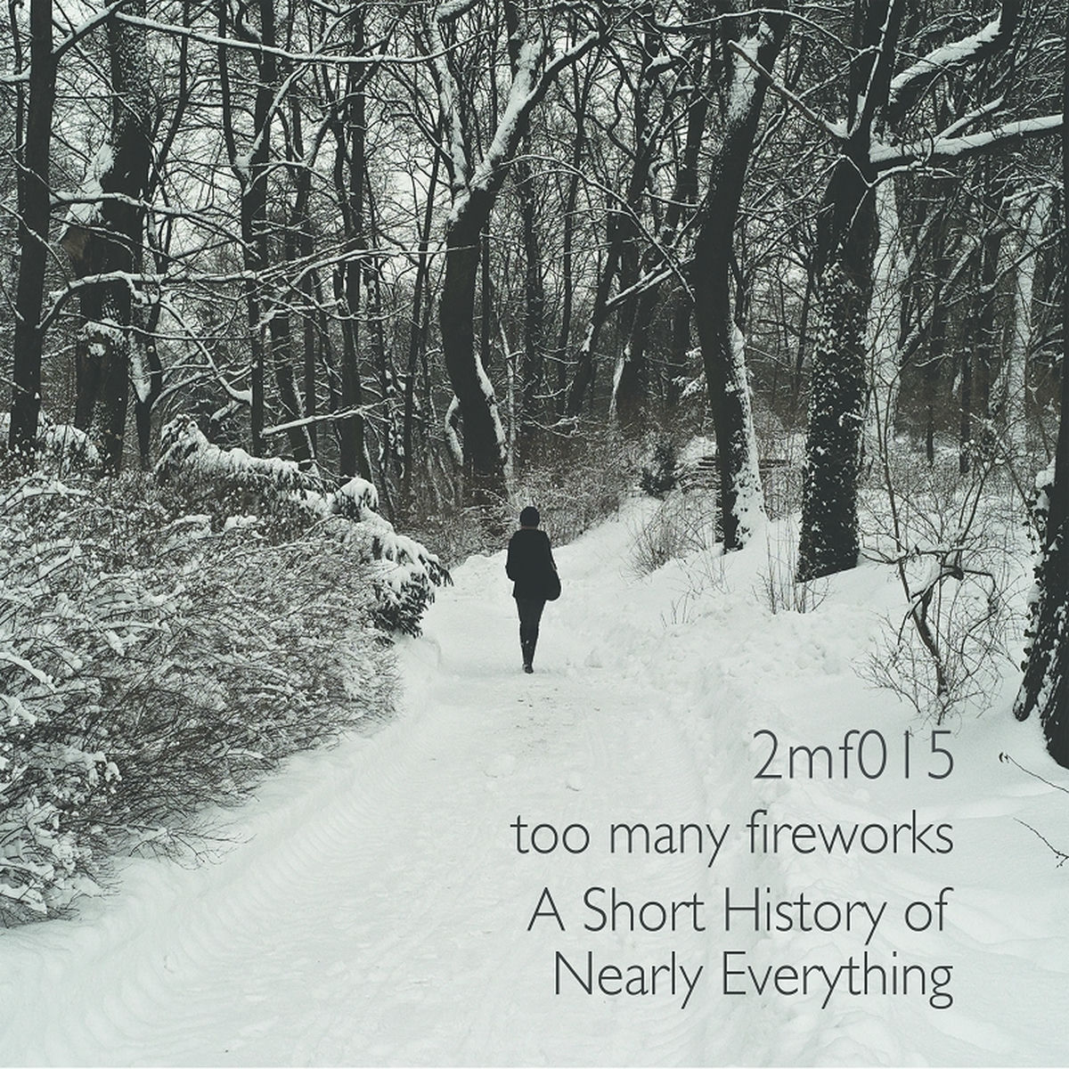 Album cover of A Short History of Nearly Everything