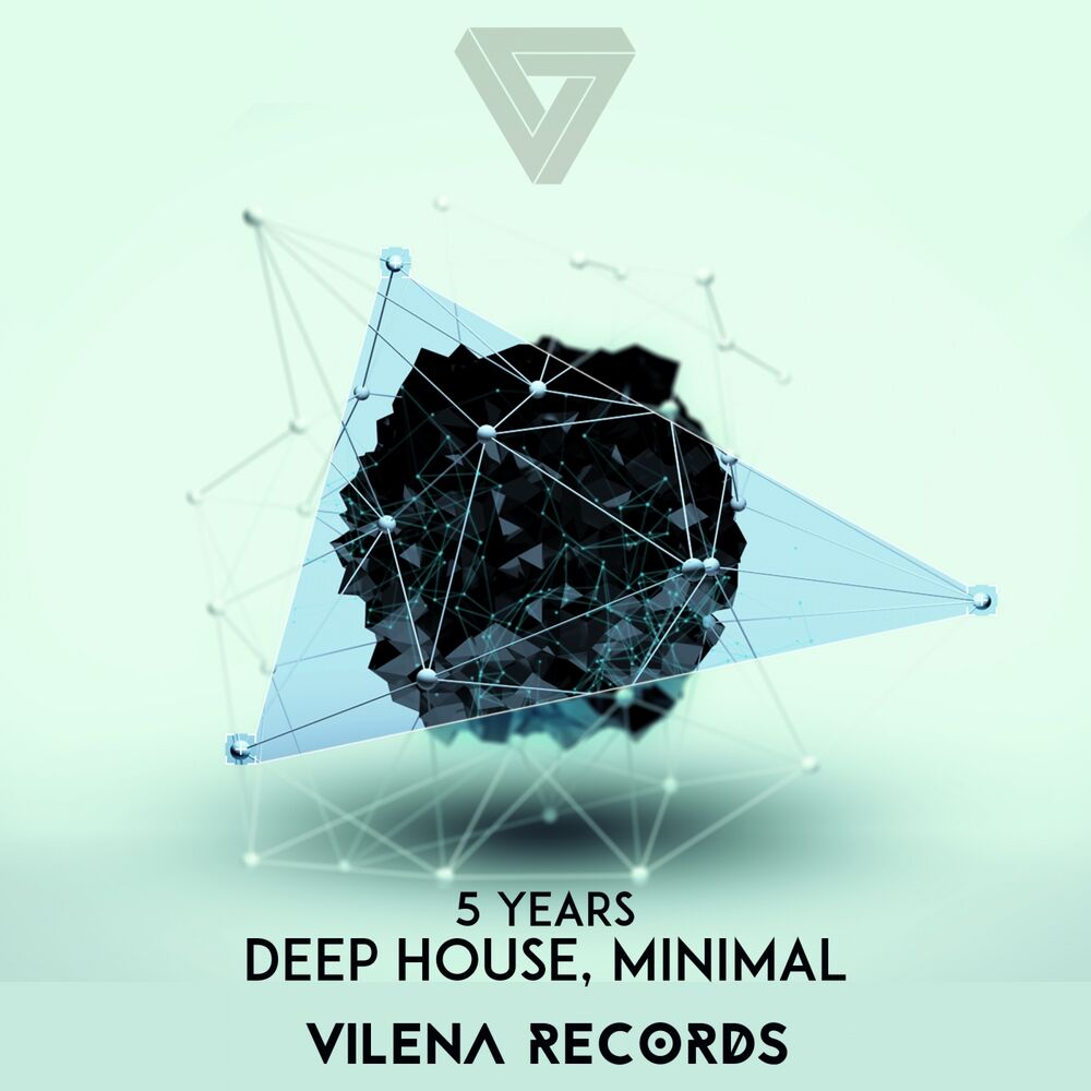 Picture of 5 Years Vilena Records Part 3