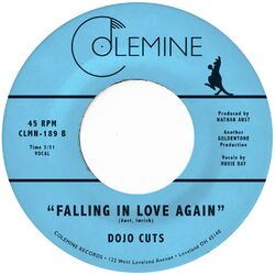 Cover of Falling In Love Again