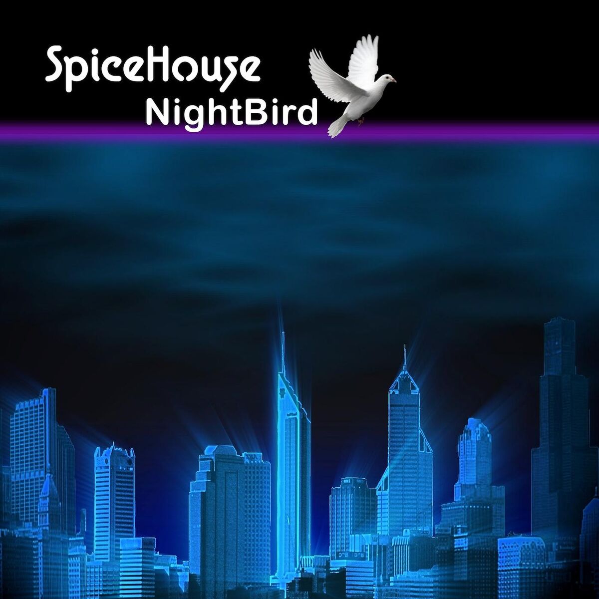 Album cover of Nightbird