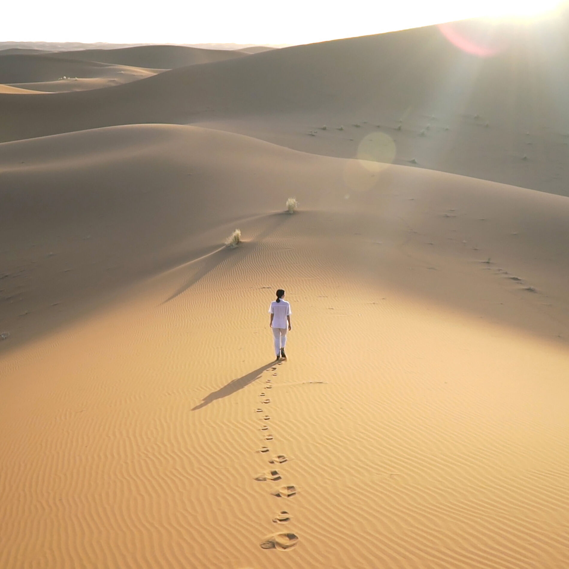 Album cover of Dune Solitaire