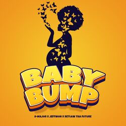 Cover of Baby Bump