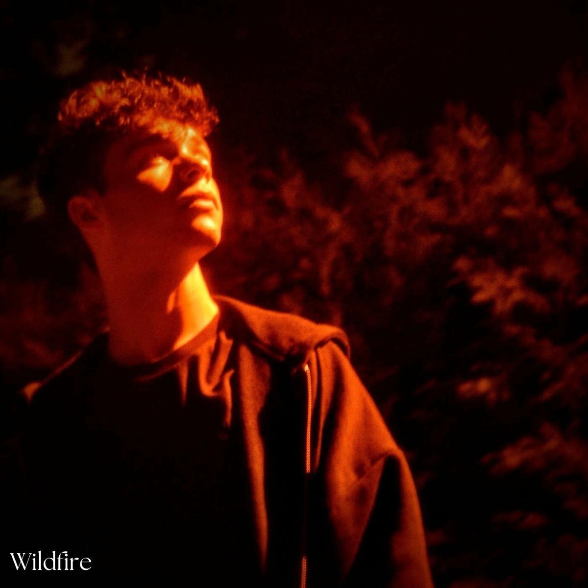 Album cover of Wildfire