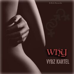 Cover of Why
