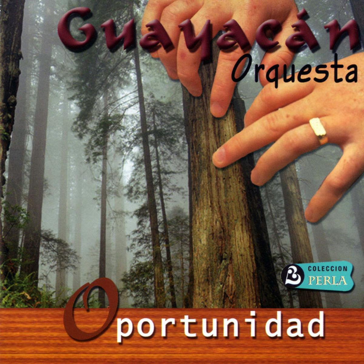 Album cover of Reina Mía