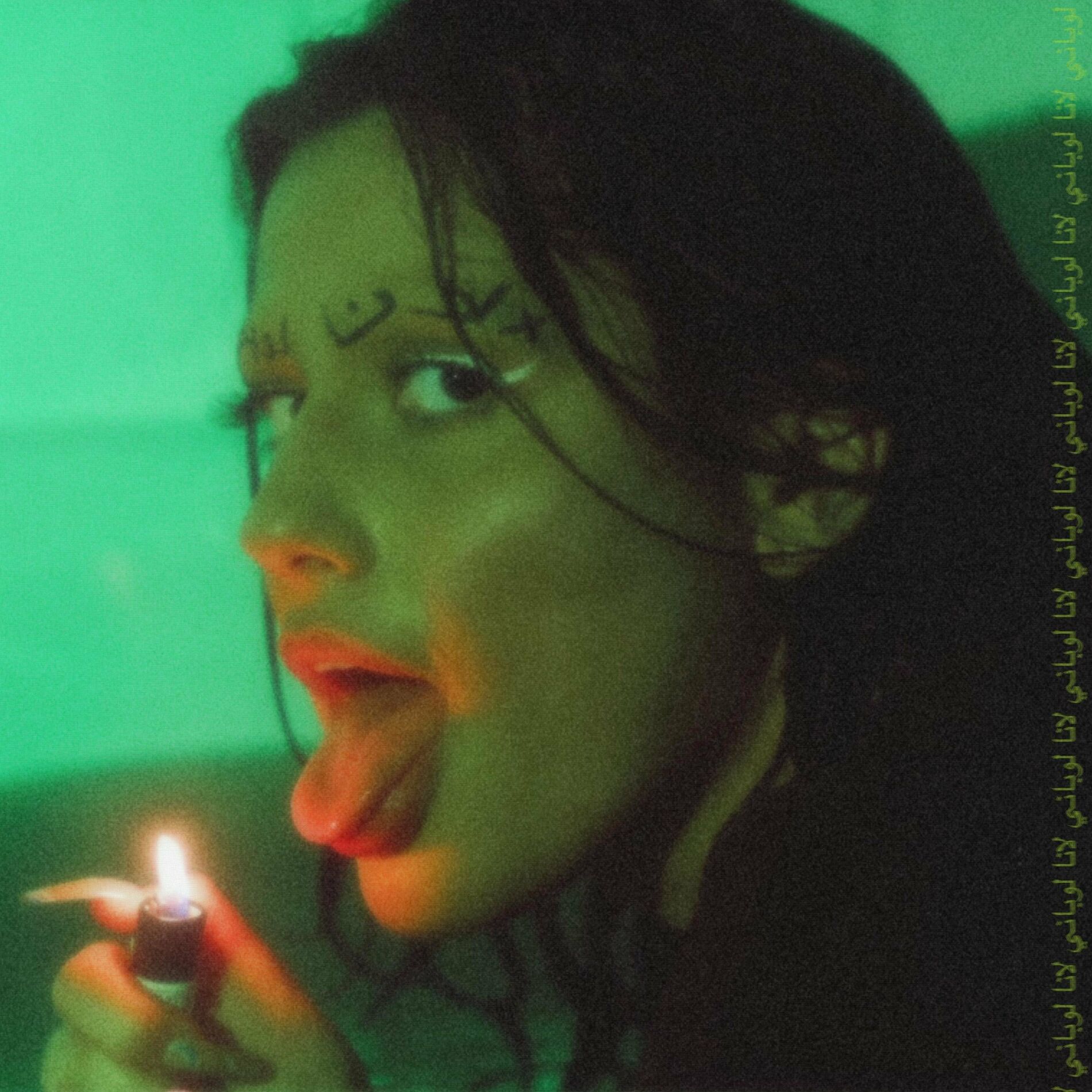Album cover of THE SNAKE