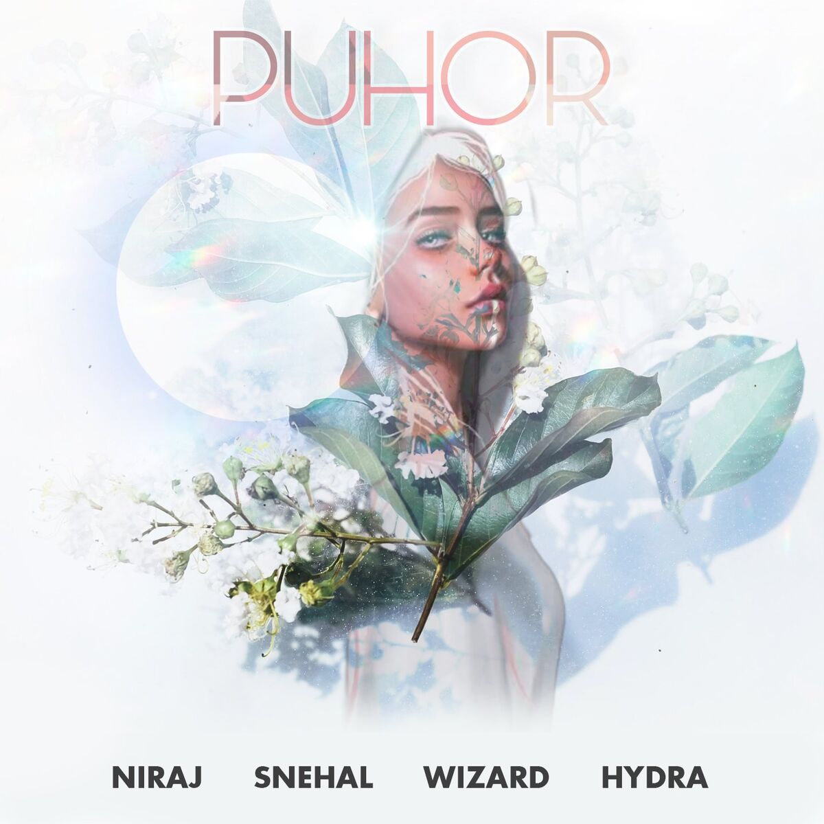 Album cover of Puhor