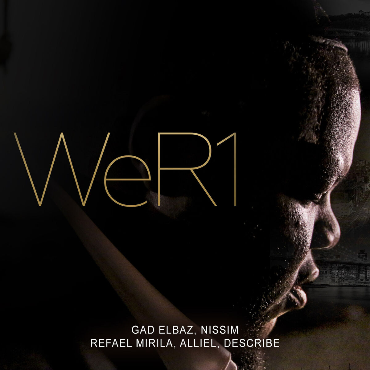 Album cover of WeR1