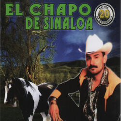 Cover of 20 Exitos de Coleccion