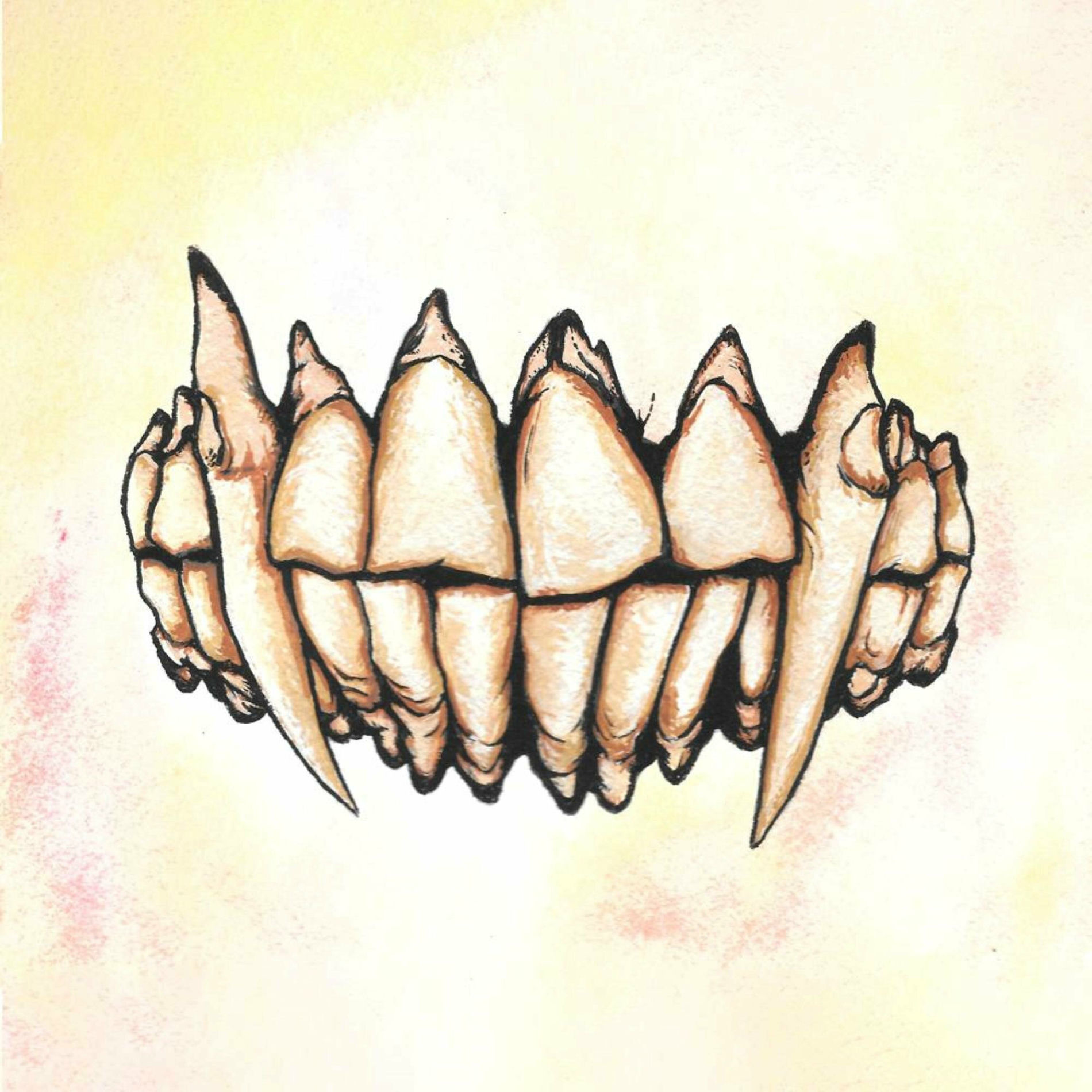 Album cover of Cache