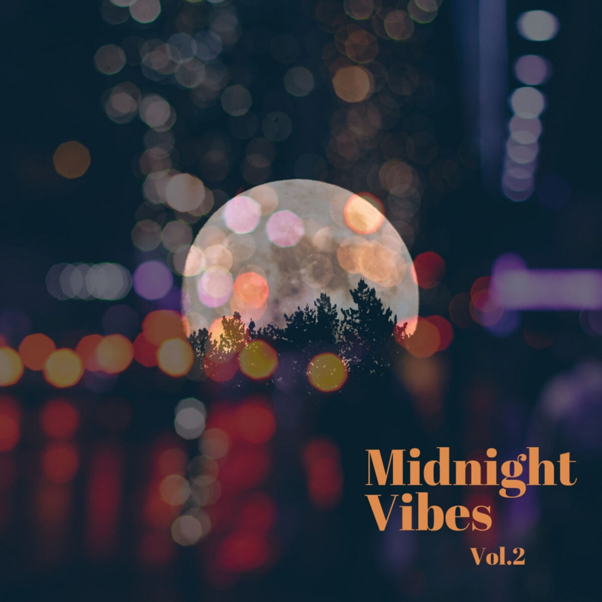 Album cover of Midnight Vibes, Vol. 2