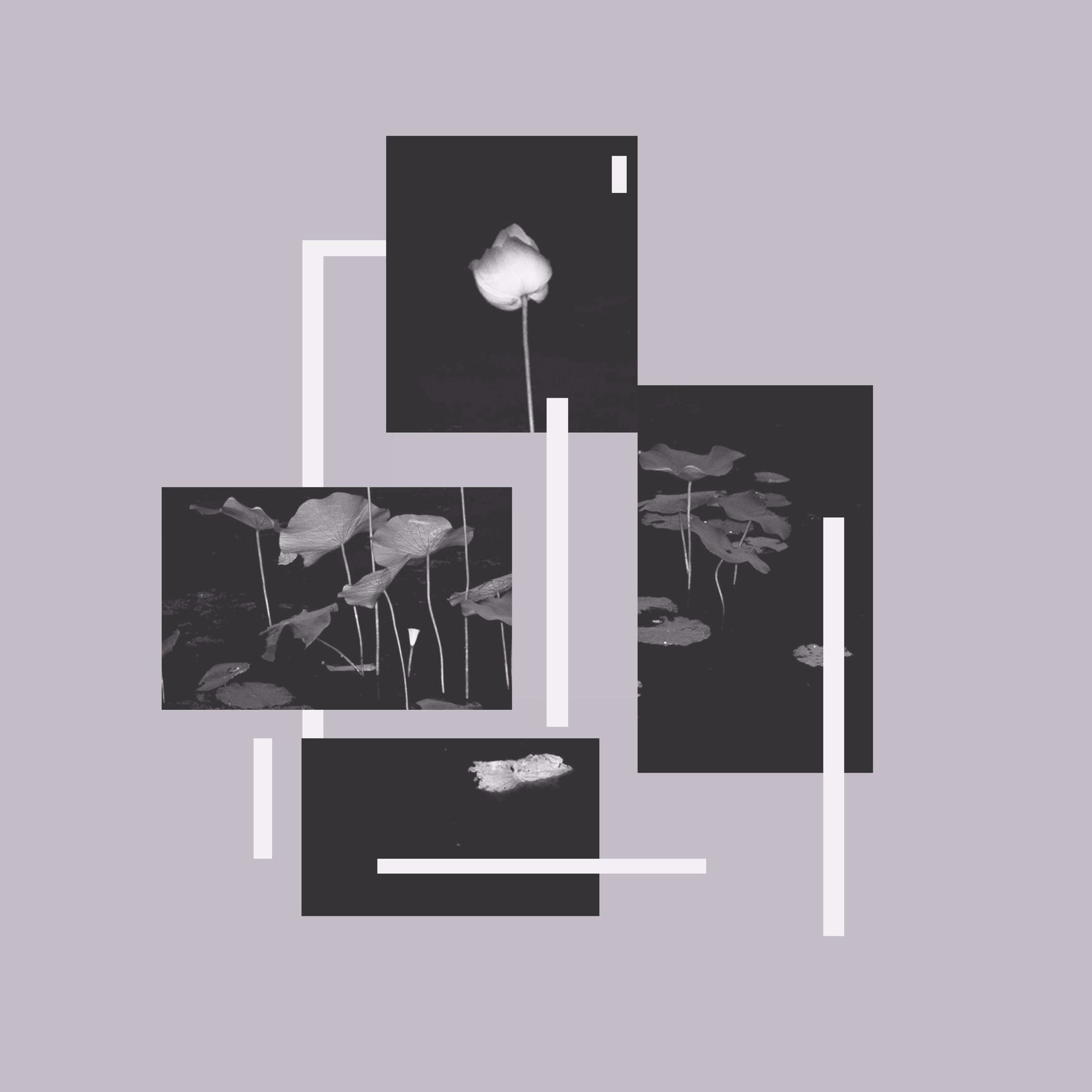Album cover of Communion