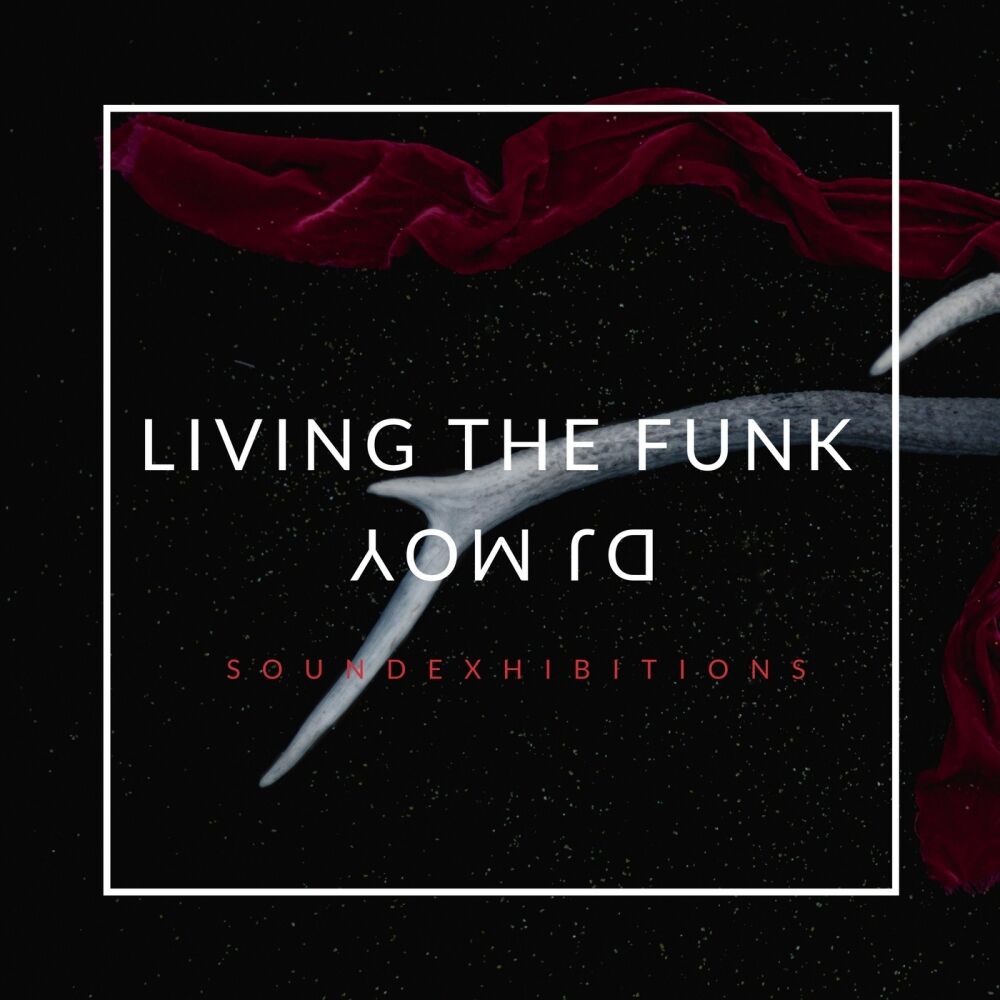 Picture of Living The Funk