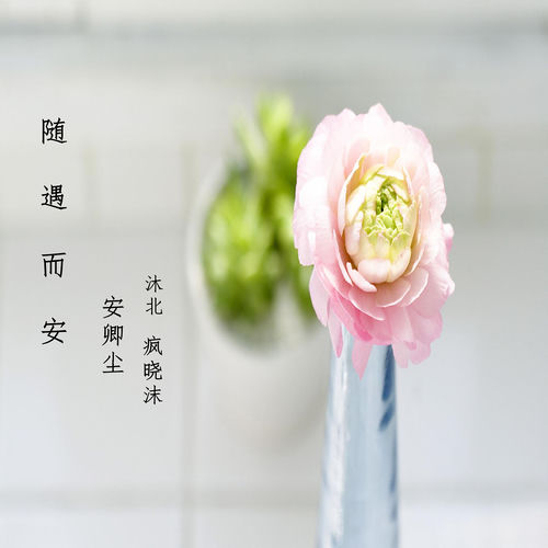 随遇而安