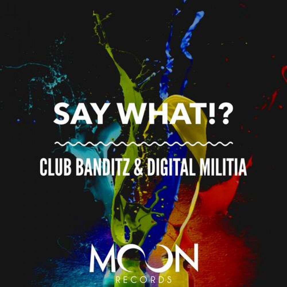 Picture of Say What!