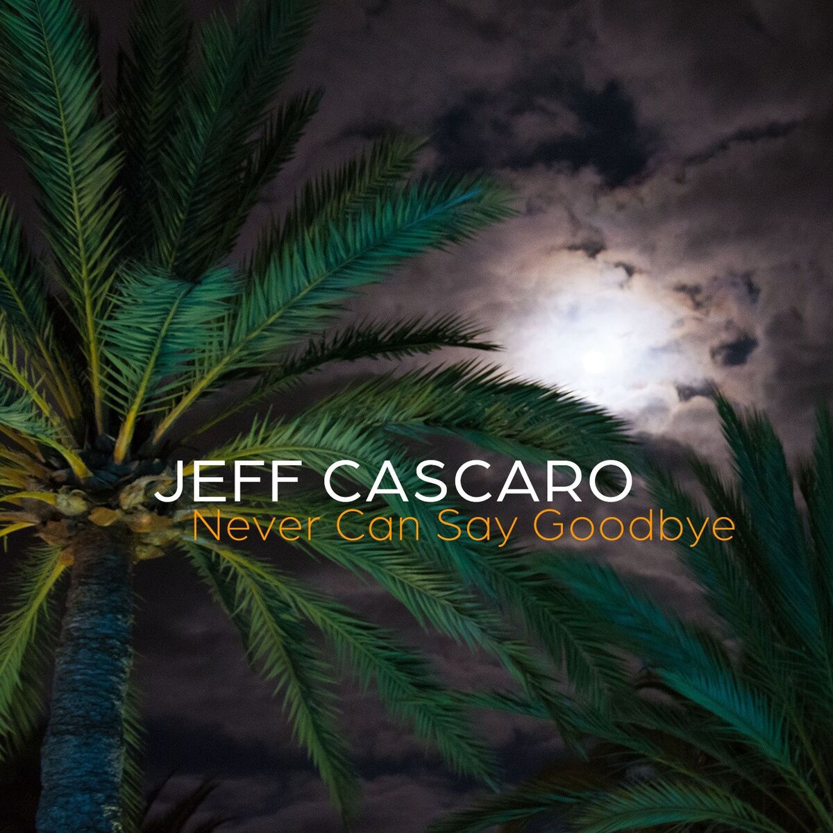 Album cover of Never Can Say Goodbye
