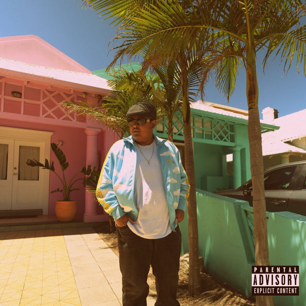 Album artwork for Penthouse Vibes by Dylan Billiondollars