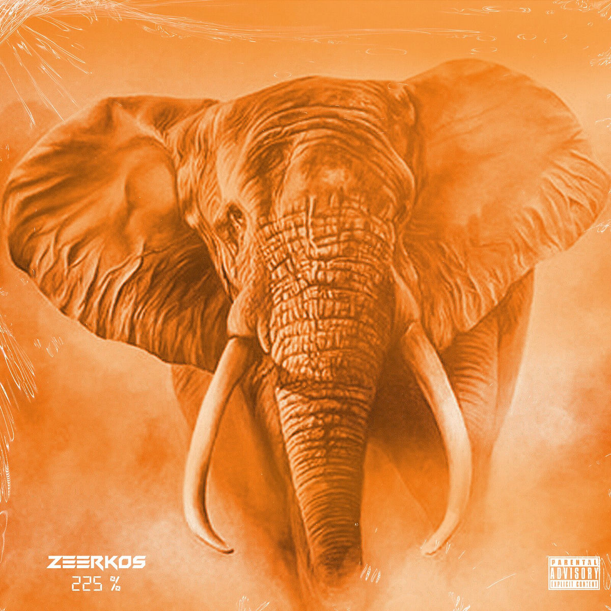 Album cover of 225 %