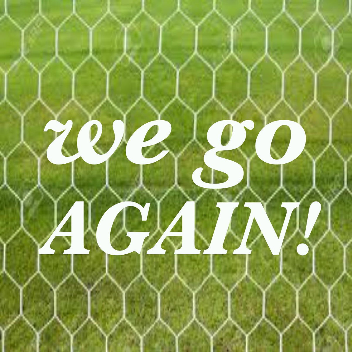 Album cover of We Go Again