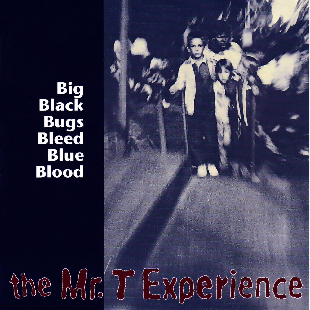 Picture of Big Black Bugs Bleed Blue Blood