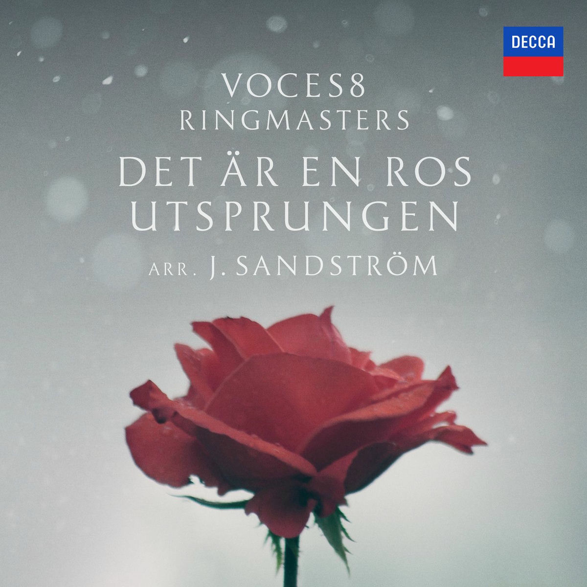 Album cover of Praetorius: Det är en ros utsprungen (Arr. Sandström for Vocal Ensemble)