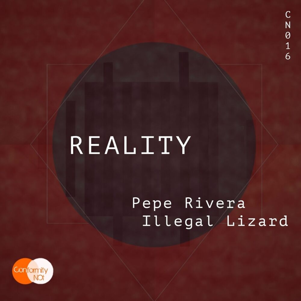 Picture of Reality