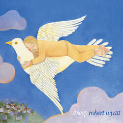 Cover of Shleep