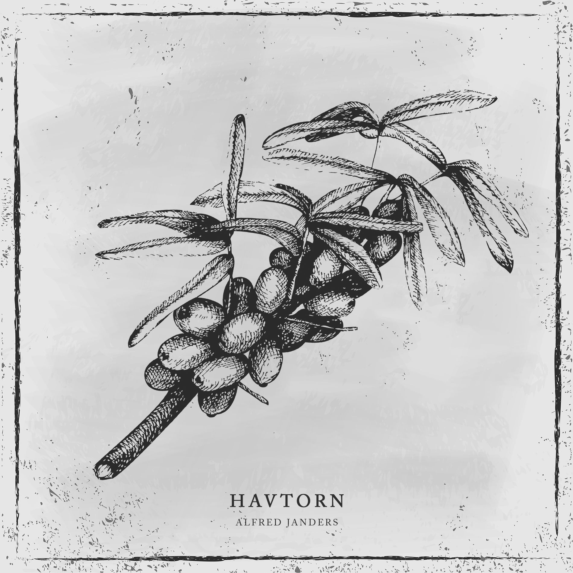 Album cover of Havtorn