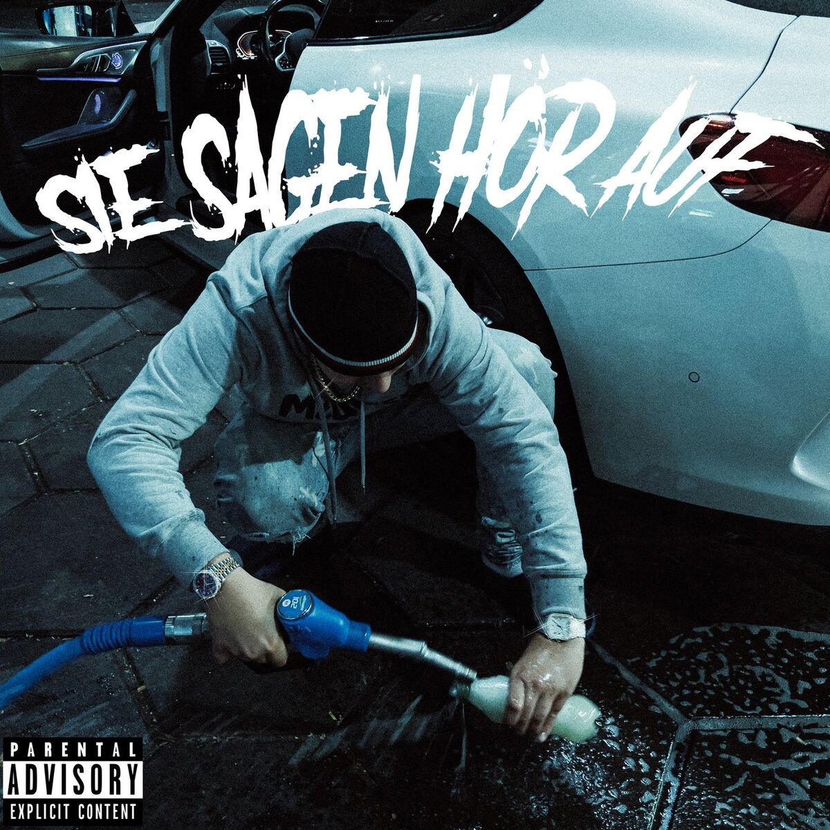 Album cover of SIE SAGEN HÖR AUF