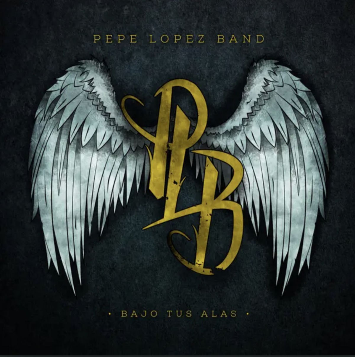 Album cover of Bajo tus Alas