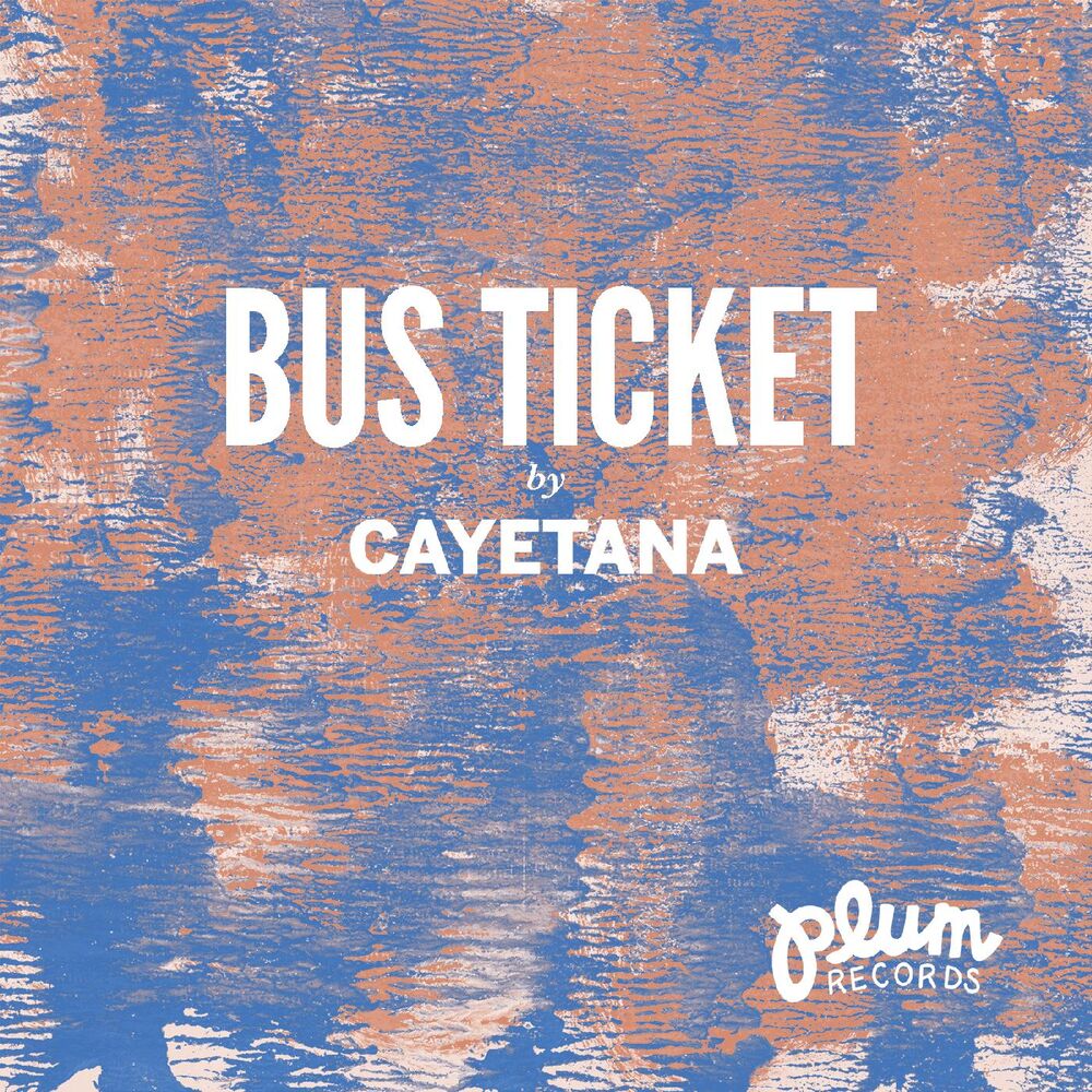 Picture of Bus Ticket