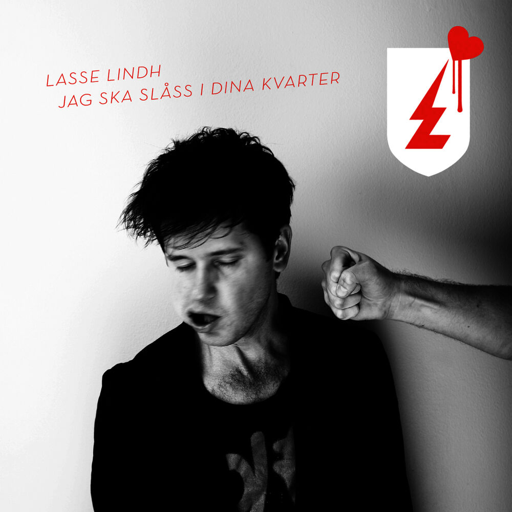 Picture of Jag ska slåss i dina kvarter