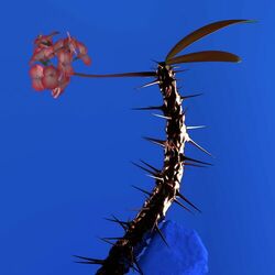 Cover of Skin Companion EP II