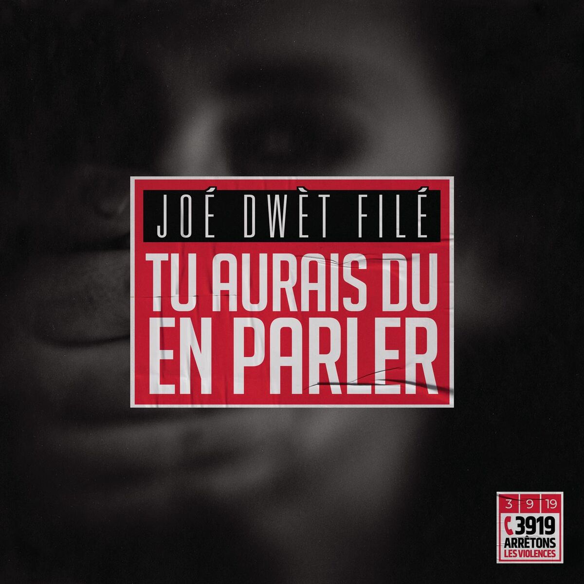 Album cover of Tu aurais dû en parler
