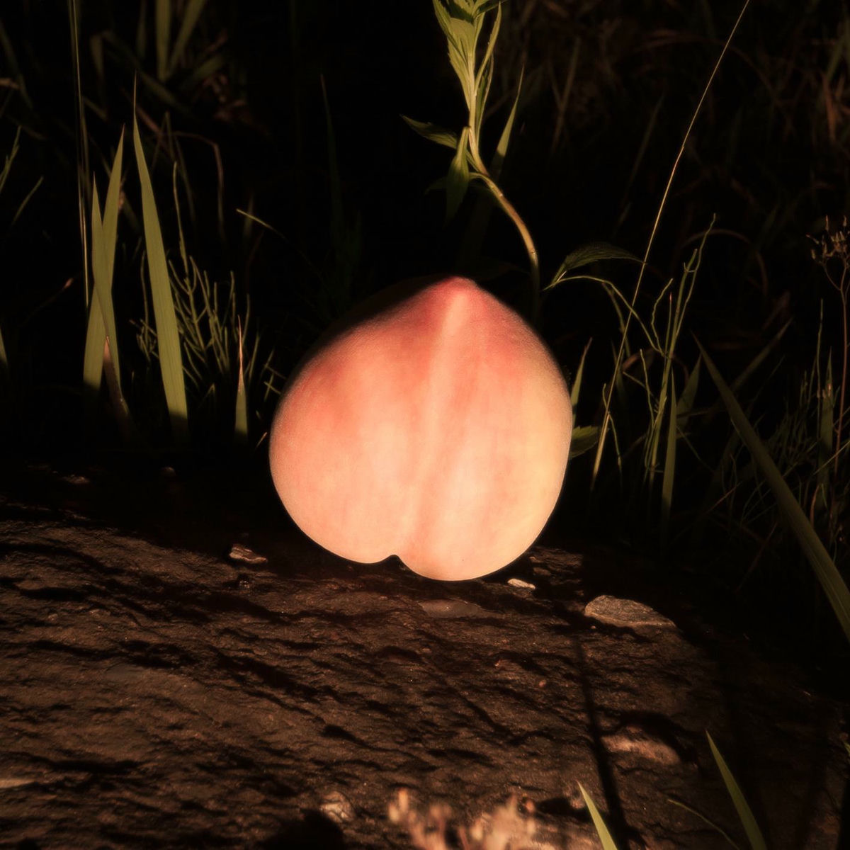 Album cover of Into the Night