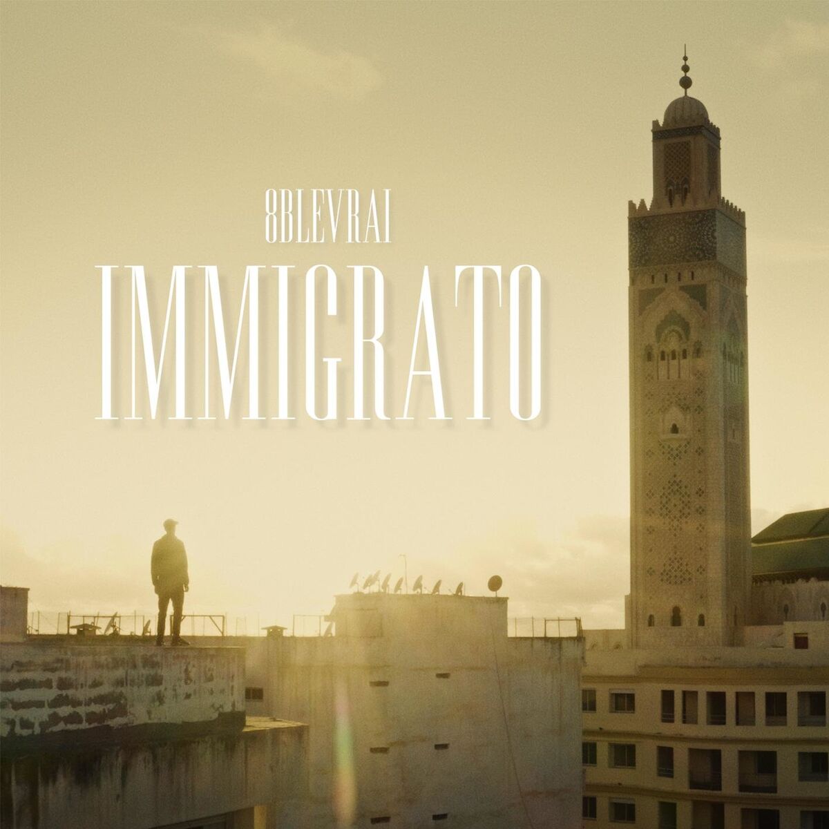 Album cover of Totò Riina
