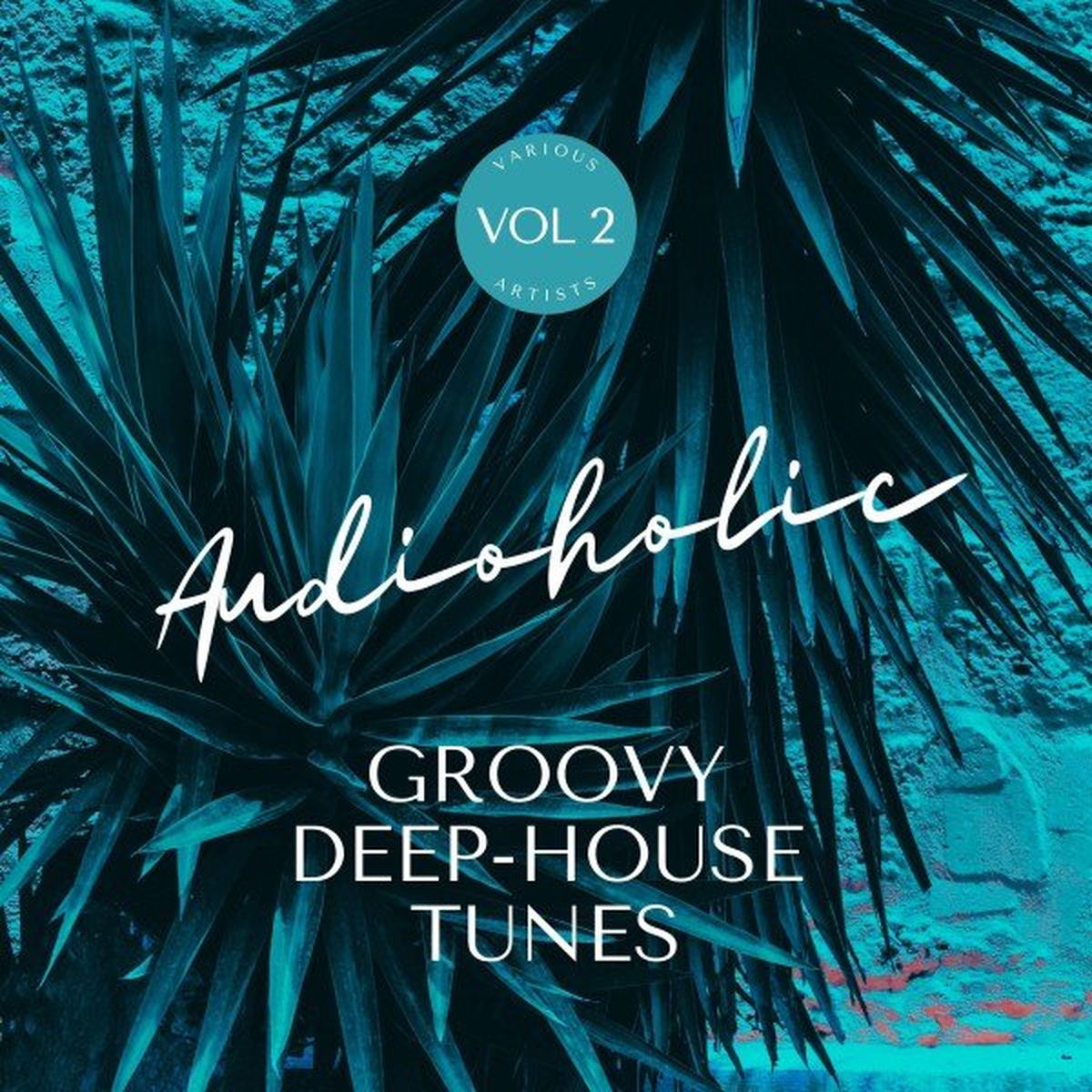 Album cover of Audioholic (Groovy Deep-House Tunes), Vol. 2