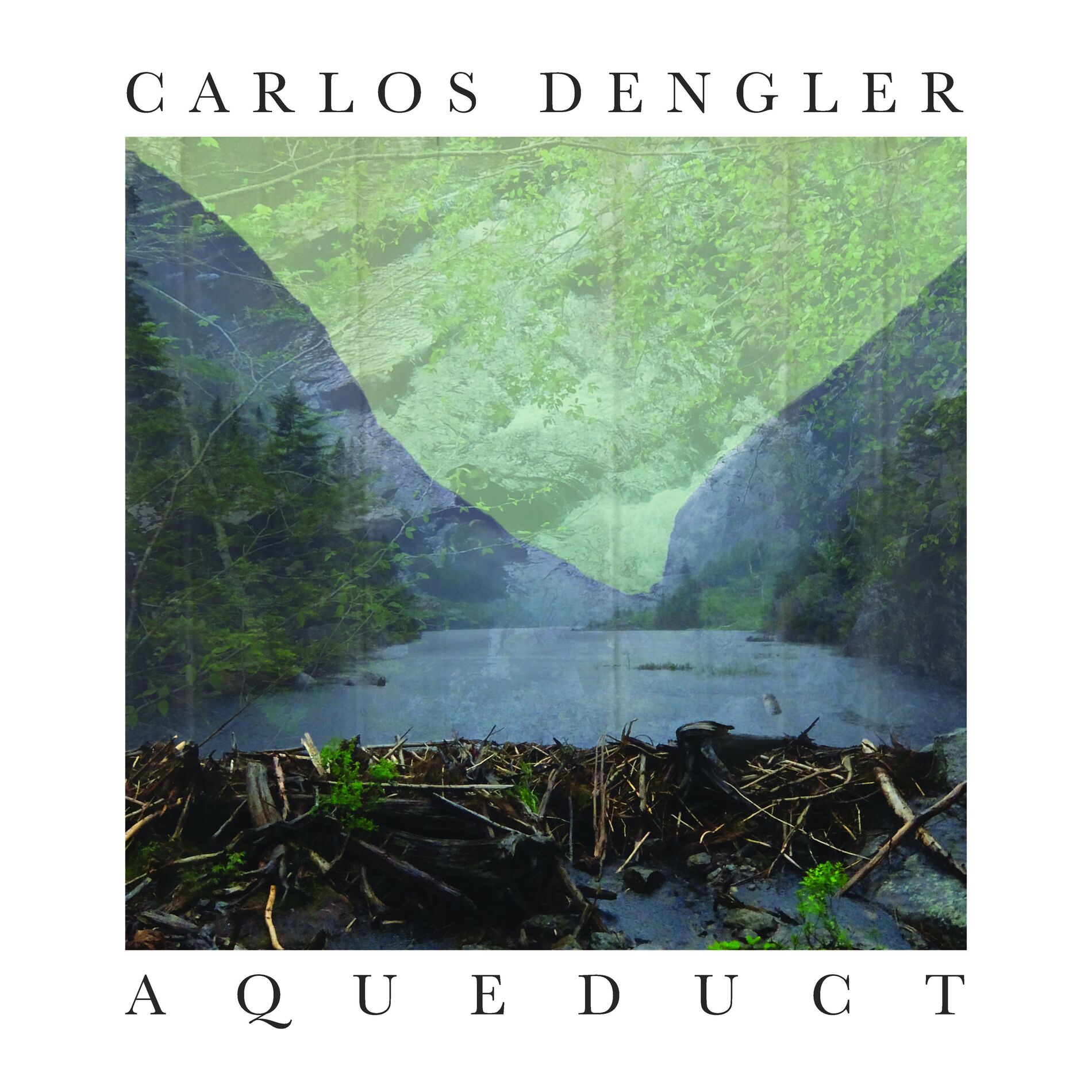 Album cover of Aqueduct