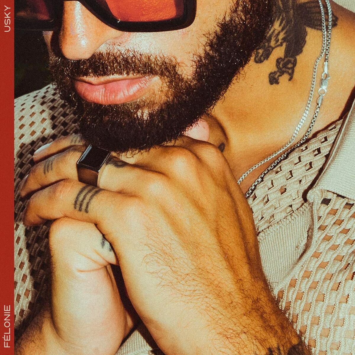 Album cover of Félonie