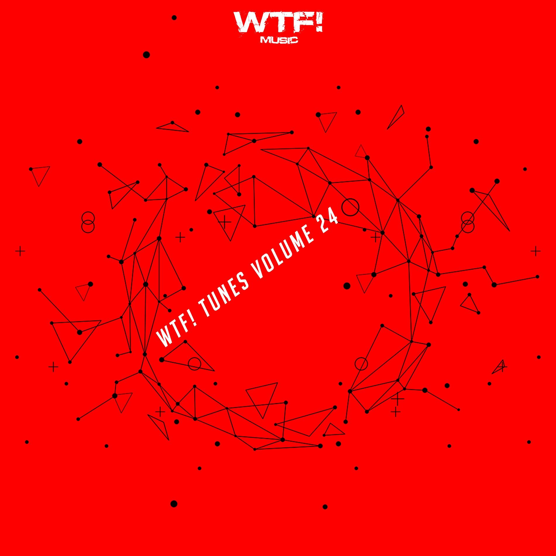 Album cover of Wtf! Tunes, Vol. 24