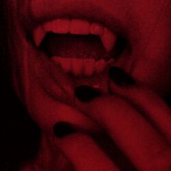 Cover of morva