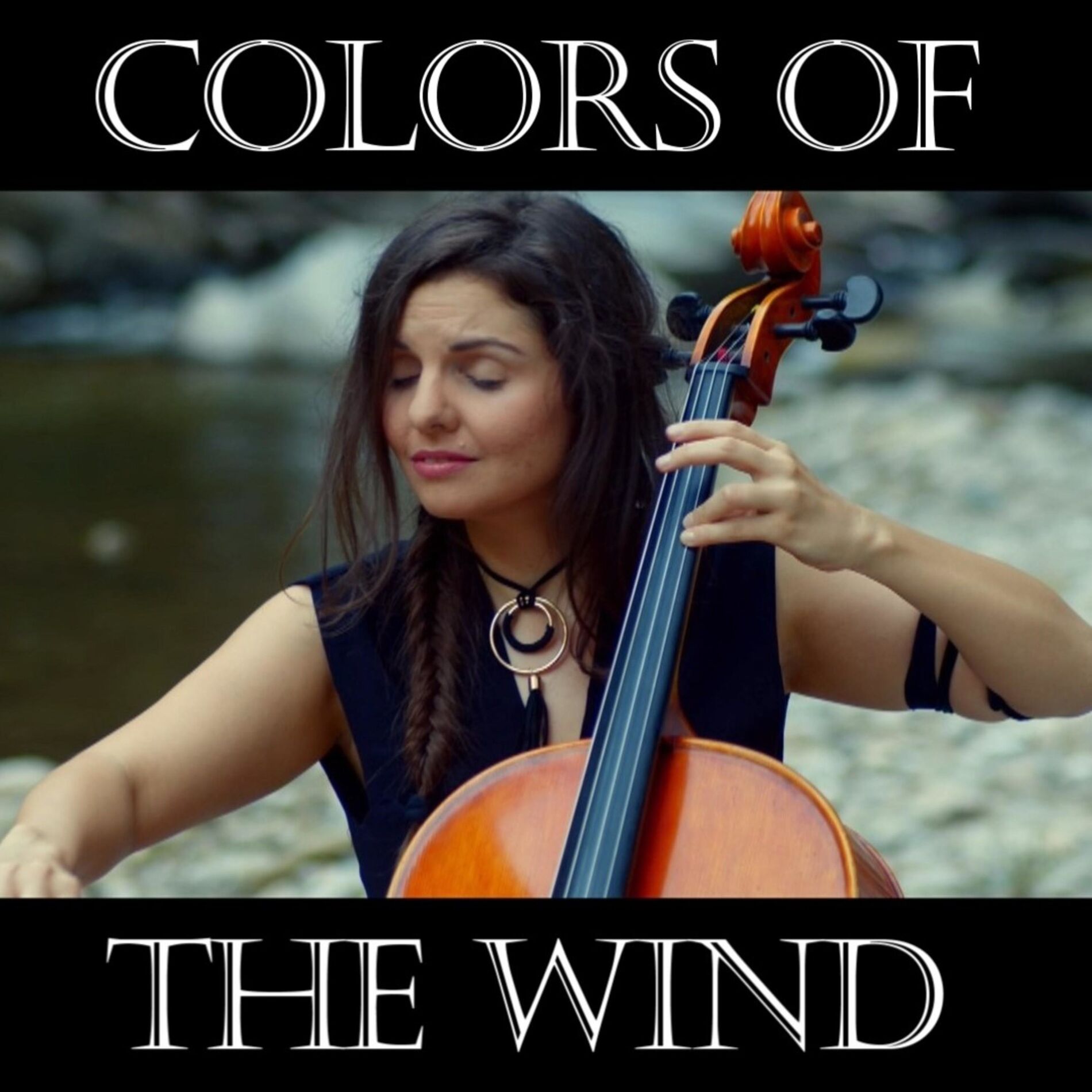 Album cover of Colors of the Wind (Instrumental)