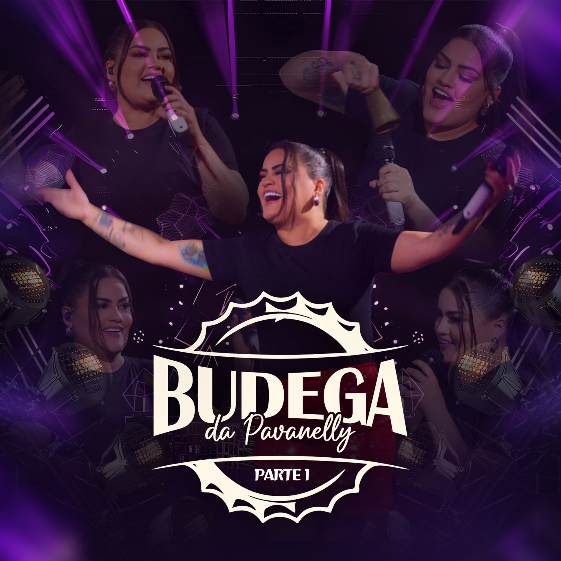 Album cover of Budega Da Pavanelly, Pt.1 (Ao Vivo)